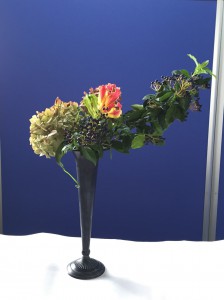 img_0043-2-ae%c2%b1oa%c2%9a